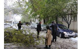 Acțiune de îndepărtare a arborilor cazuți în urma ninsorii - 20 aprilie 2017